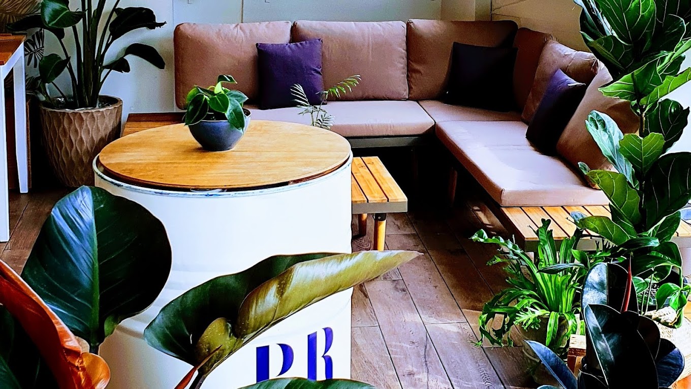 Lounge seating with monstera plants at The Foliage Cafe